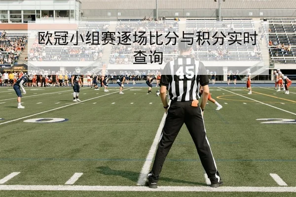 ATP/WTA球员赛程积分变化与排名预测查询